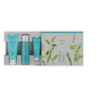 Artistry Skin Nutrition „Beauty on-the-go Renewing“ Reiseset - Amway