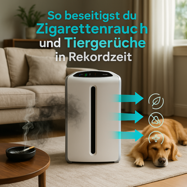 Luftreiniger-im-modernen-Wohnzimmer