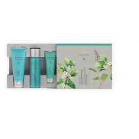 Artistry Skin Nutrition „Beauty on-the-go Firming“ Reiseset - Amway